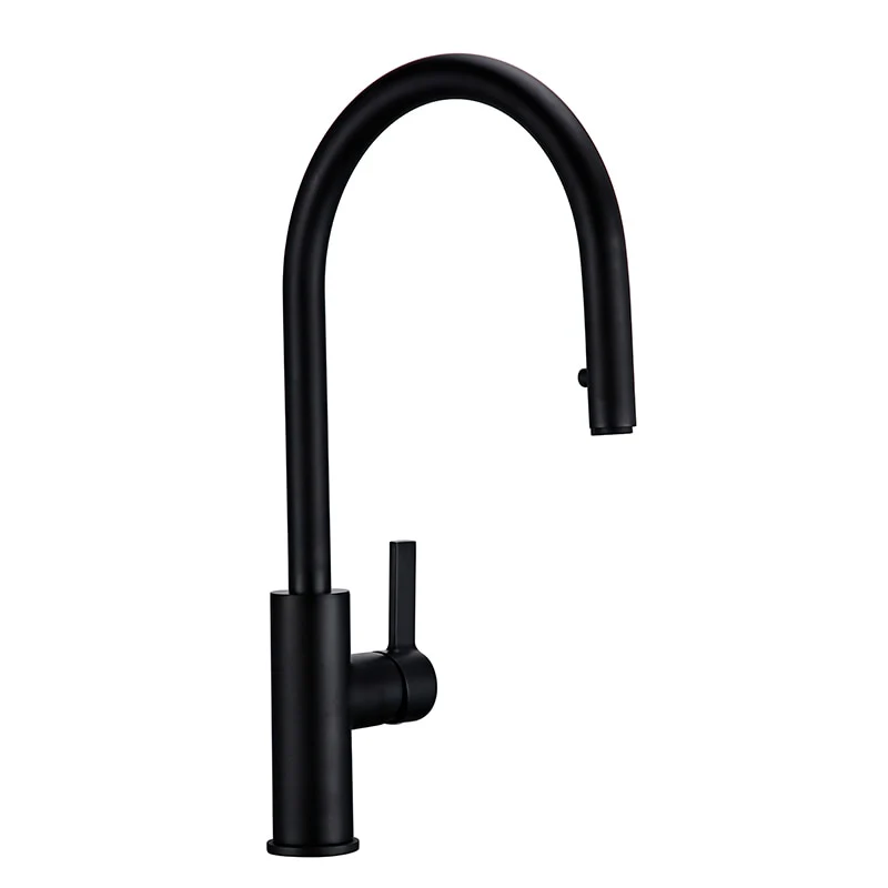New Arrival Kitchen Faucet Swivel With Invisible Pull Out Nozzle Sprayer Gooseneck Pull Down Mixer Sink Tap in Matt Black - Image 5